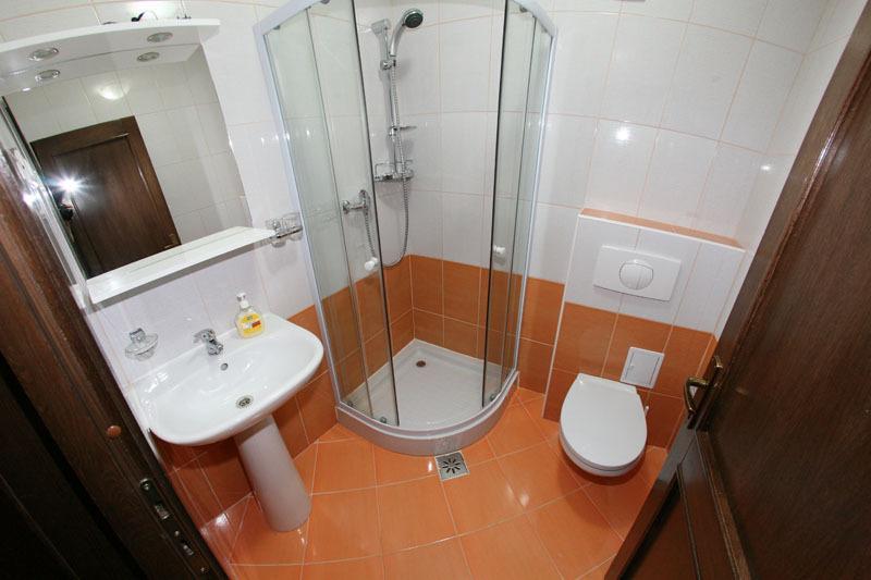 Pensiunea Elena Vistisoara Room photo