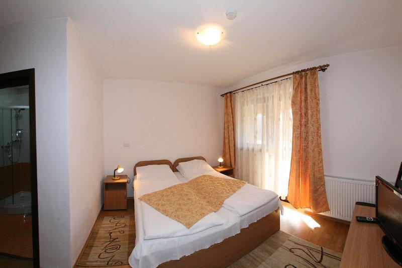 Pensiunea Elena Vistisoara Room photo