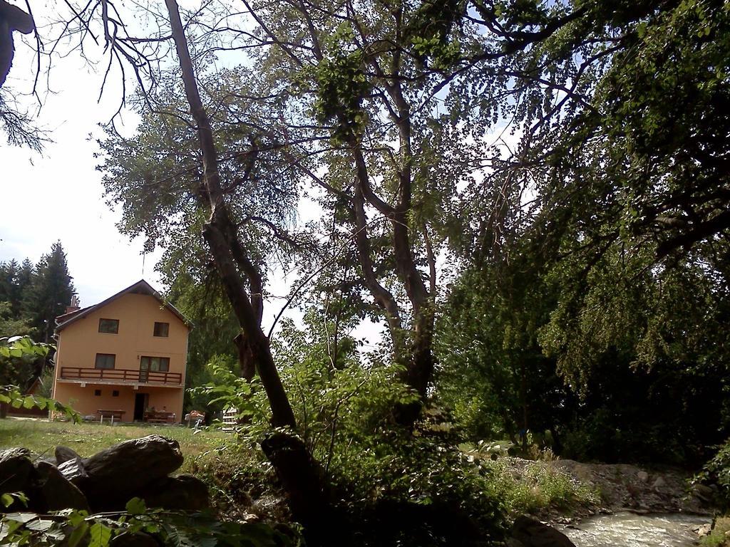 Pensiunea Elena Vistisoara Exterior photo