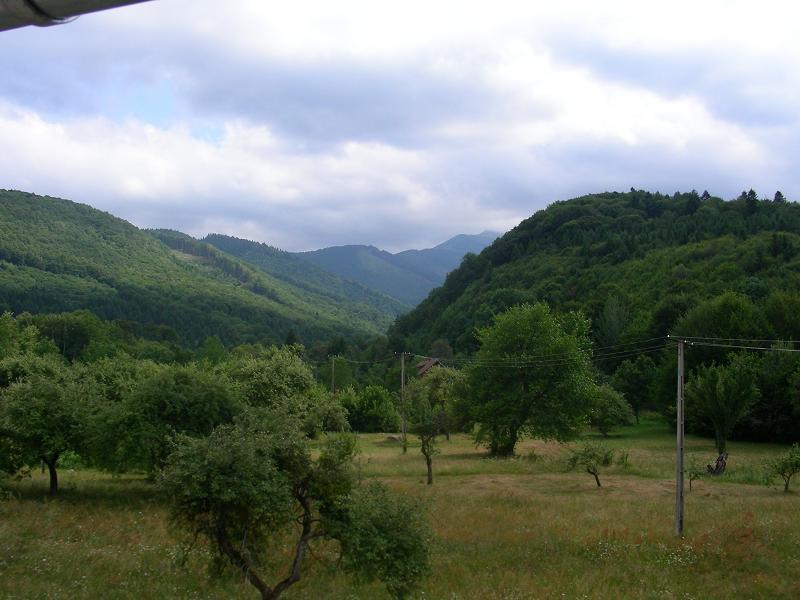 Pensiunea Elena Vistisoara Exterior photo