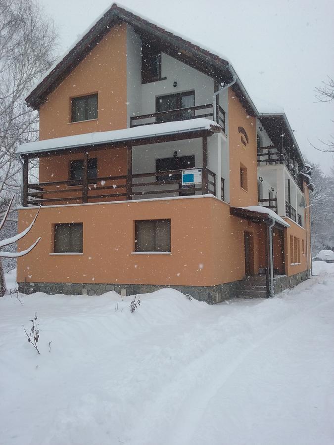Pensiunea Elena Vistisoara Exterior photo