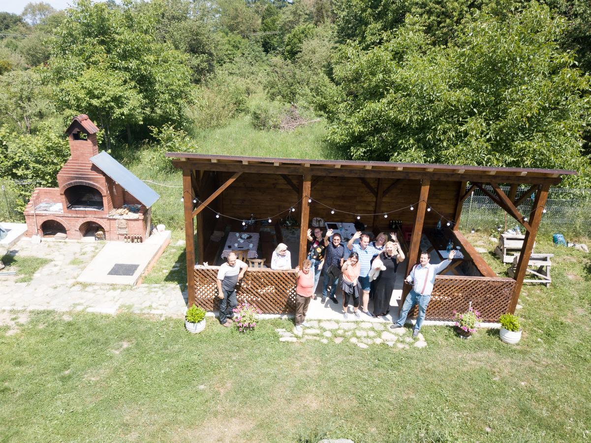 Pensiunea Elena Vistisoara Exterior photo